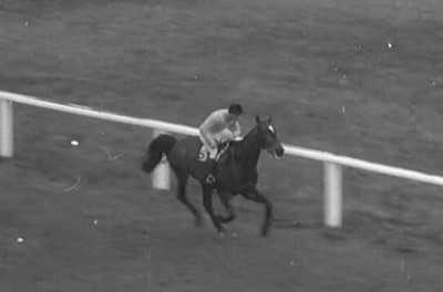 What Happened Next.jpg