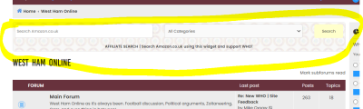 AmazonWidget.PNG