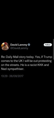 lammy.jpg