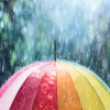 Weather